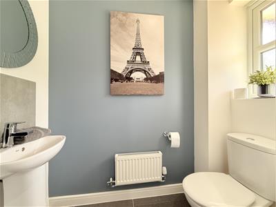 Picture 8